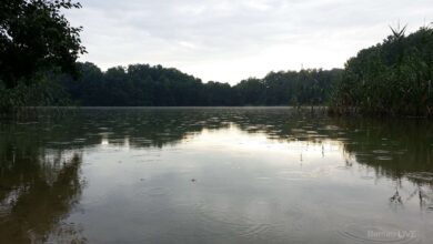 Regen am Mechesee in Bernau Lobetal