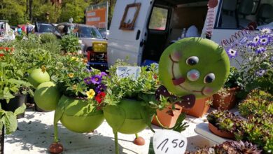 Flohmarkt in Bernau - Flohmaxx