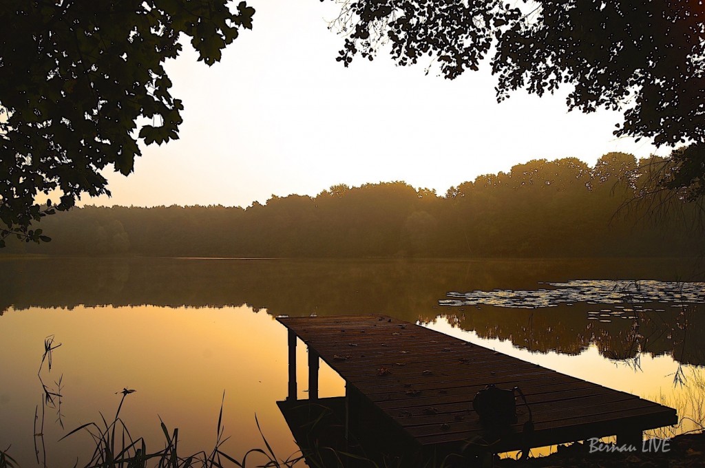 Nach etwas Regen ist die Sonne wieder da - Guten Morgen 5 Bernau, Mechesee, Sommer, guten Morgen, Bernau LIVE, Barnim