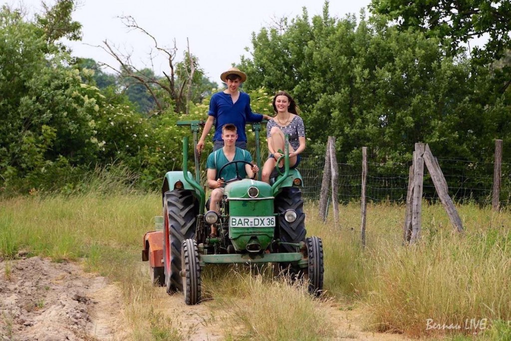 Bernau: Lust auf einen Schnuppergarten? Miete dir doch dein Beet! 1 Bernau - Schönow: Landgut Pappelallee