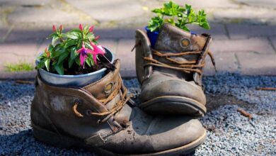 Bernau - Pfingstsonntag - Schuhe - Blumen