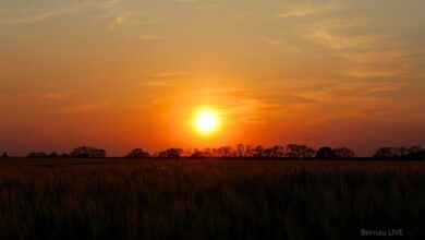 Sonnenuntergang vor wenigen Minuten bei Börnicke - Euch einen schönen Abend! LG Bernau LIVE
