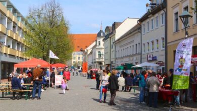 1. Mai - Die LINKE in Bernau