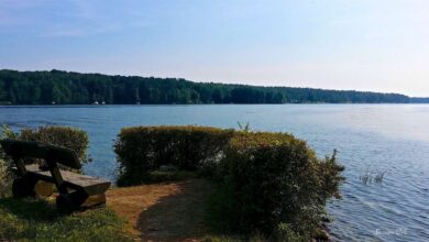 Barnim: 7-jähriges Mädchen im Werbellinsee ertrunken 18 Werbellinsee - Bernau LIVE