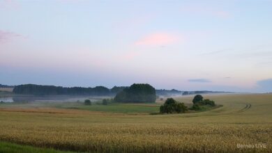 Bernau - Sommeranfang