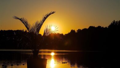 Sonnenuntergang am Strandbad Wukensee