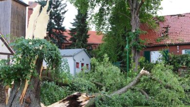 Bernau: Unwetter im Barnim - Danewitz