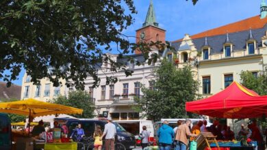 Bernau LIVE - Dein Stadtmagazin