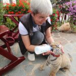 Grundsteinlegung: Na gut, dass wir gestern Tiger Diego besucht haben 42 Tiger Diego - Dr. Doris Tesch Bernau