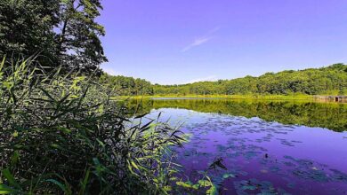 Bernau: Sommertag am See - Pfingsten