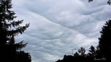 Barnim: Unwetter - zumindest da, wo es hin kam - kurzer Überblick