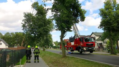 Verkehr Bernau: Börnicker Chaussee voll gesperrt!