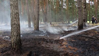 Polizei: 13-jähriger sorgte für Heideflächenbrand bei Eberswalde
