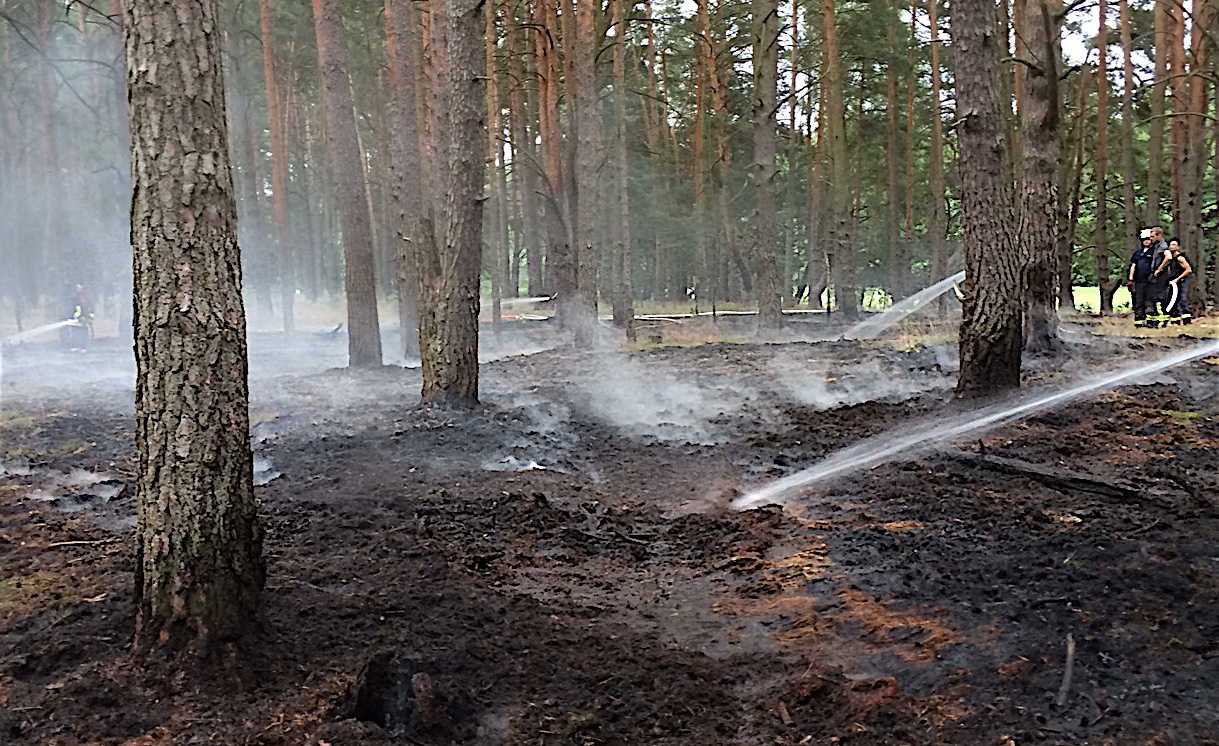 Polizei: 13-jähriger sorgte für Heideflächenbrand bei Eberswalde