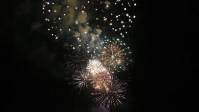 Gute Nacht - LIVE vom Wukenseefest in Biesenthal