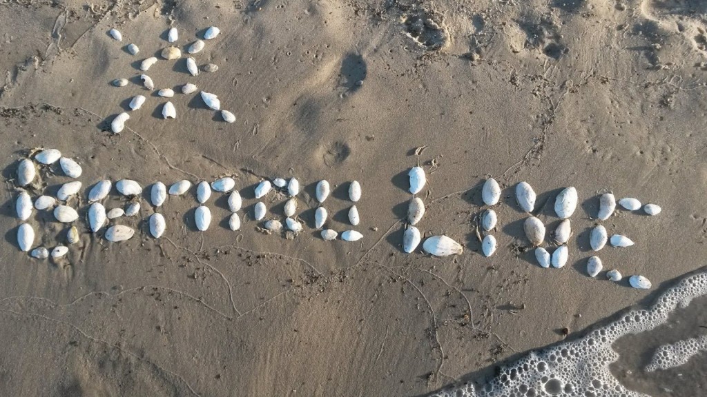 26 Grad, Sonne, Wochenende - Hier unsere Veranstaltungstipps 6 26 Grad, Sonne, Wochenende - Hier unsere Veranstaltungstipps für Bernau und Barnim