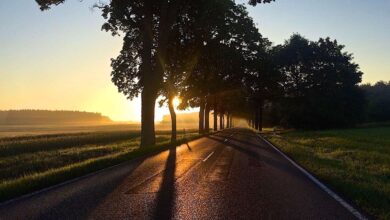 LIVE und in Farbe wünschen wir einen sonnigen Donnerstag