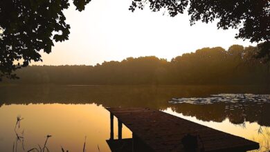 Bernau - Barnim: "Wir schaffen das" - guten Morgen und einen schönen Mittwoch