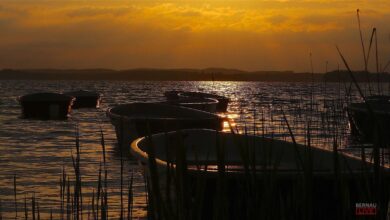 Sonnenuntergang am Parsteinsee - Euch einen schönen Abend 12 Sonnenuntergang am Parsteinsee