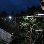 Dr. Doris Tesch: Ostern im Wildkatzenzentrum Felidae Tempelfelde 23 Bernau LIVE