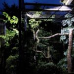 Dr. Doris Tesch: Ostern im Wildkatzenzentrum Felidae Tempelfelde 14 Nachts zu Besuch bei Tiger DIEGO im Wildkatzenzentrum Felidae