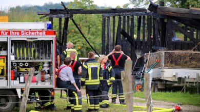 Barnim: Fahrlässig - Pferdestall in Schönerlinde in Vollbrand