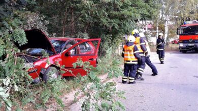 Bernau: Mit reichlich Alkohol im Blut direkt in einen Baum