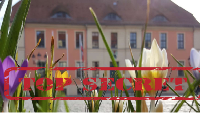 Bernau, Du geheimnisvolle Stadt im verborgenen Mikrokosmos