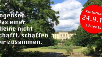 Bogensee erwacht aus dem Dornröschenschlaf