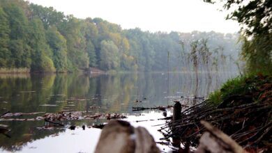 Bernau: Mein Garten wird sich freuen - guten Morgen