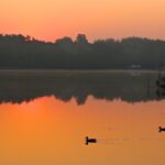 Das (Strandbad) und der Große Wukensee heute Abend beim RBB (TV) 25 Bernau - Biesenthal: Kurz vorm Sonnenaufgang - guten Morgen vom Großen Wukensee