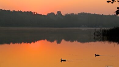Bernau - Biesenthal: Kurz vorm Sonnenaufgang - guten Morgen vom Großen Wukensee