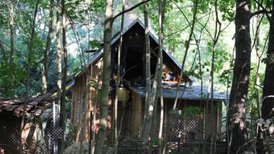 Brand eines Gartenbungalows in Wandlitz