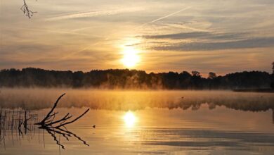 Bernau: Müde, Sonne, Rathaus, Geburtstag, Blitzer - Guten Morgen!