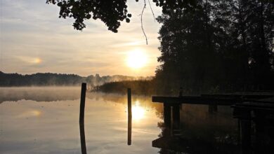 Bernau - Barnim: Guten Morgen und willkommen in der neuen Woche 12 Bernau - Barnim: Guten Morgen und willkommen in der neuen Woche