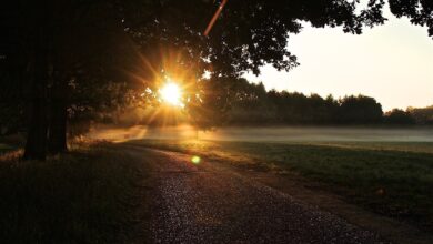 Bernau: Guten Morgen und etwas Zeit, so kurz vorm Wochenende