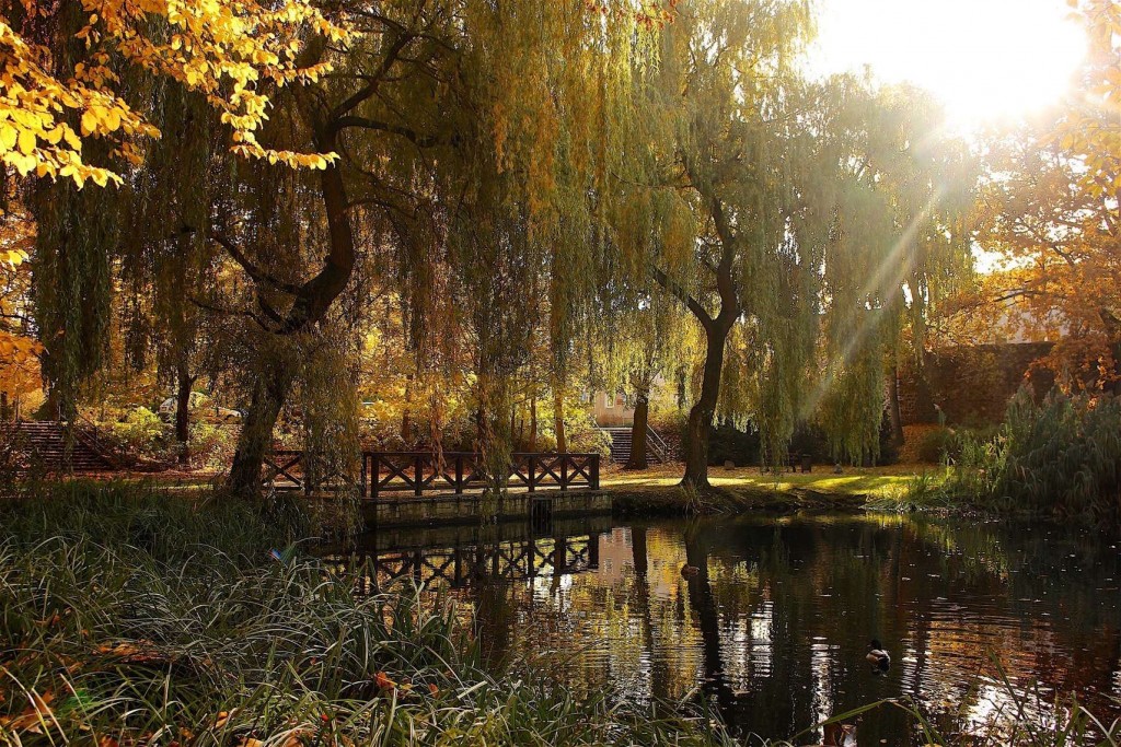 Guten Morgen in Bernau und Drumherum, ich lass mich einschliessen 5 Guten Morgen in Bernau und Drumherum, ich lass mich einschliessen