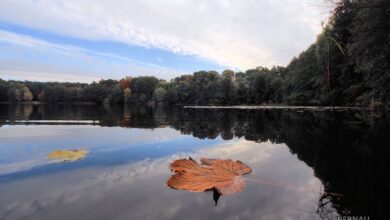 Barnim: 25 Grad - heute den vorerst letzten "Sommer" Tag genießen