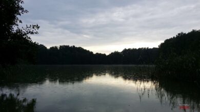 Bernau - Barnim: Guten Morgen und einen schönen Dienstag