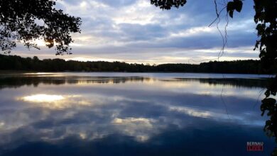Bernau - Barnim: Also der Herbst ist definitiv da - guten Morgen