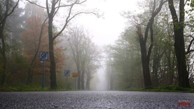 Bernau und Drumherum: Guten Morgen, so kurz vorm Wochenende