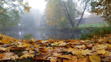 Schön, dass Ihr hier seid - guten Morgen, Bernau und Drumherum