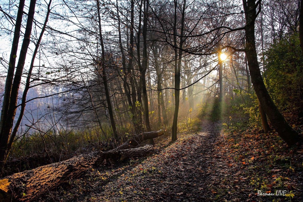Wir wünschen Euch einen schönen Feiertag in Bernau und Barnim 6 Wir wünschen Euch einen schönen Feiertag in Bernau und Barnim