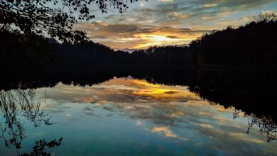 Bernau: LIVE vom Mechesee in Lobetal