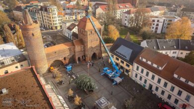 Bernau: Zwei tolle Weihnachtsbäume auf einem Streich