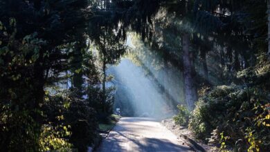 Bernau: Guten Morgen und einen sonnigen Start in den Sonntag