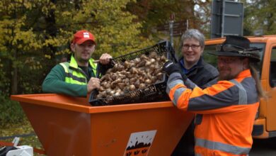 Bernau investiert etwa 7.300 Euro in den kommenden Frühling