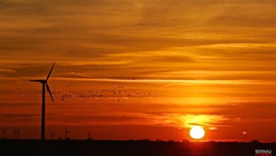 Bernau - Barnim: Guten Morgen und willkommen im Frühling