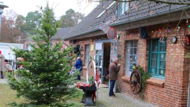 Bernau LIVE - Dein Stadtmagazin
