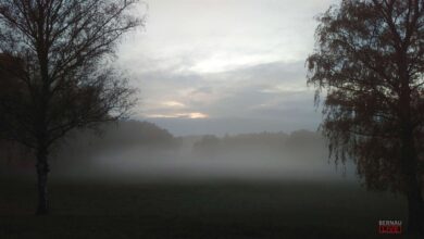 Bernau: Guten Morgen an diesem grauen und kühlen Montag